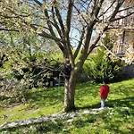 Prada Bellezza Tra Pascoli E Di Garda Ferienhaus