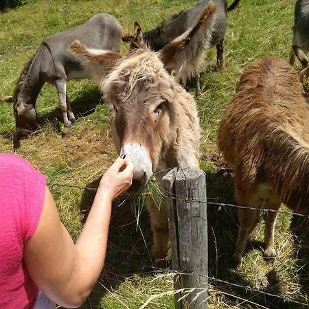 Villa Prada Beauty Through Pastures And Garda Castelletto Di Brenzone