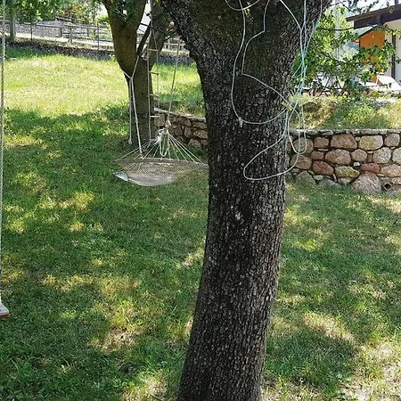 Prada Bellezza Tra Pascoli E Di Garda