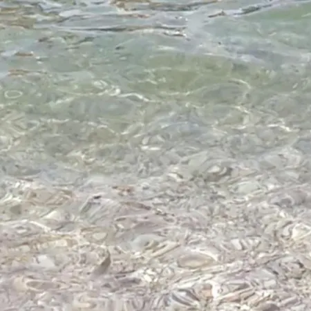 Prada Bellezza Tra Pascoli E Di Garda